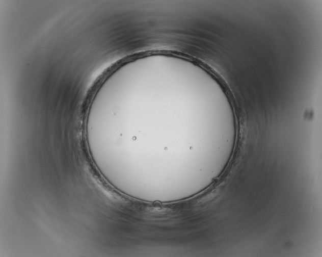 X0000112751119200909101533