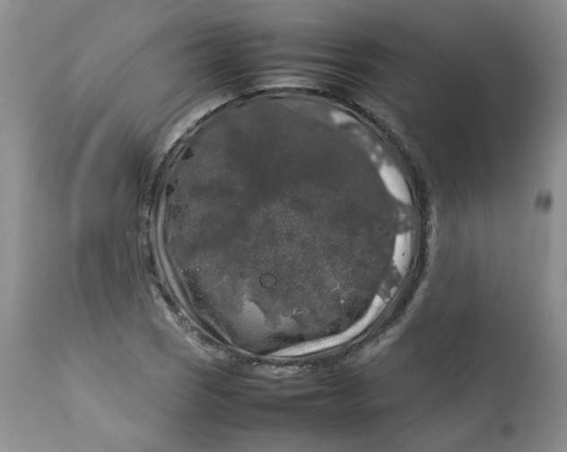 X0000112751121200909101533