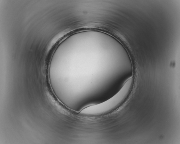 X0000112751122200909101533