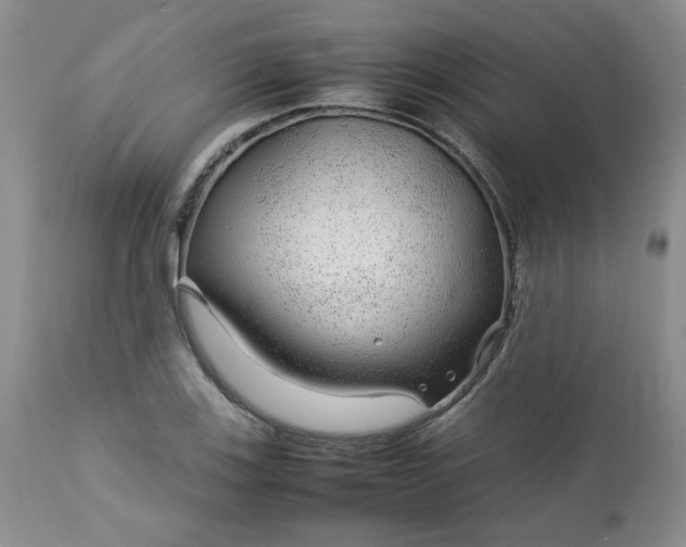 X0000112751123200909101533