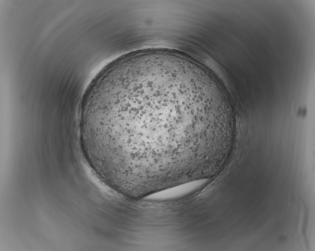 X0000112751124200909101533