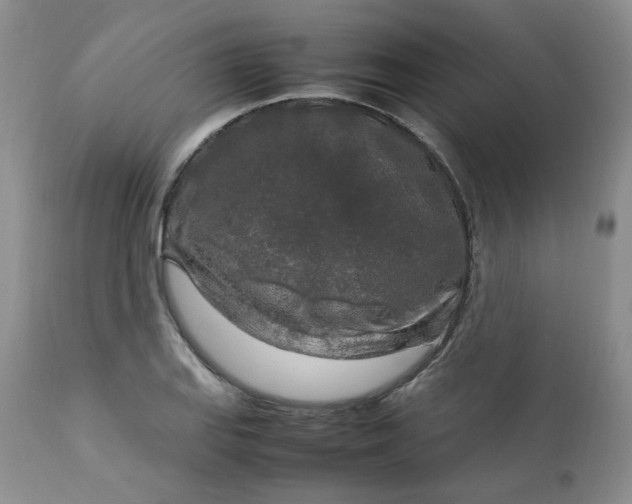 X0000112751127200909101533