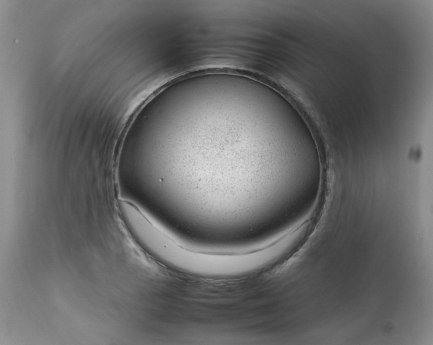 X0000112751129200909101533