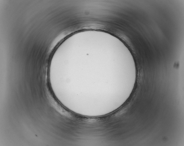 X0000112751130200909101533