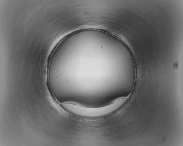 X0000112751132200909101533