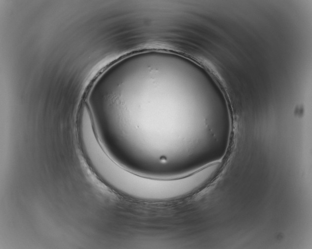 X0000112751133200909101533