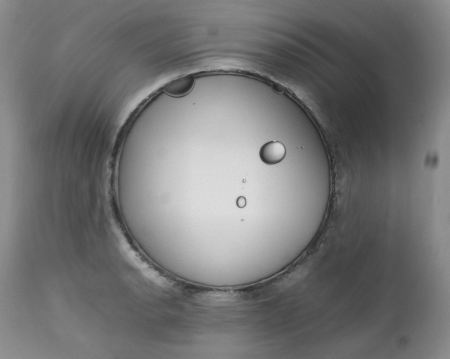 X0000112751134200909101533