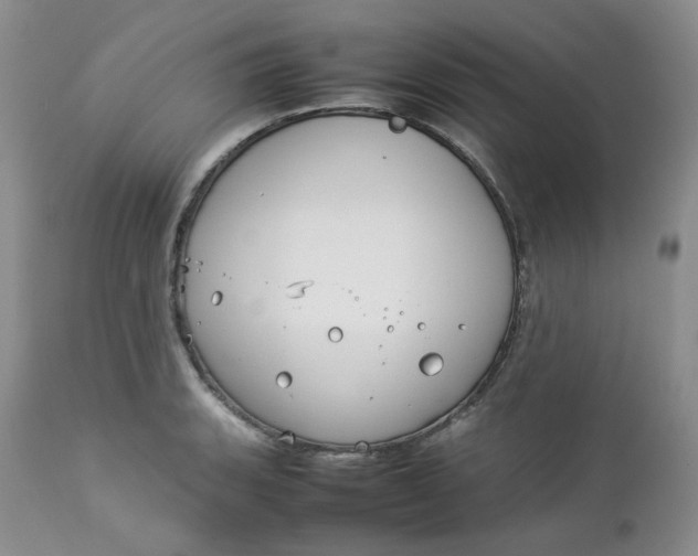 X0000112751135200909101534