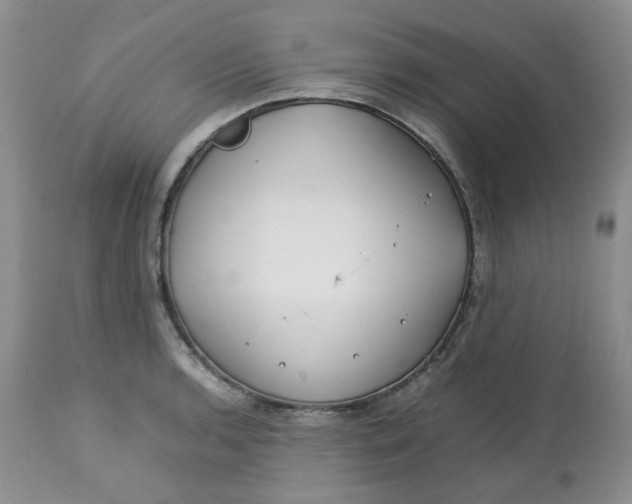 X0000112751136200909101534