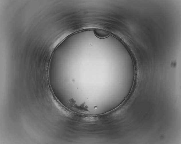 X0000112751137200909101534