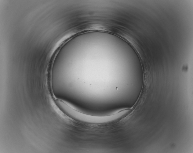 X0000112751139200909101534