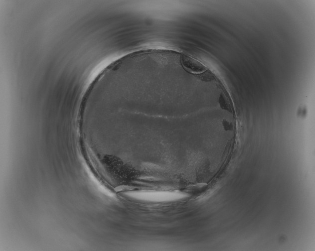 X0000112751141200909101534