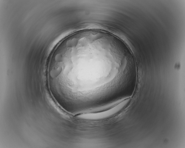 X0000112751142200909101534