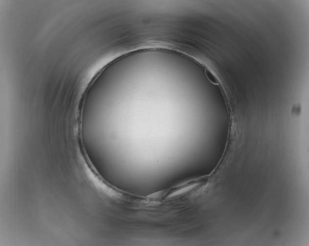 X0000112751143200909101534