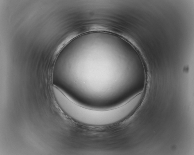 X0000112751145200909101534