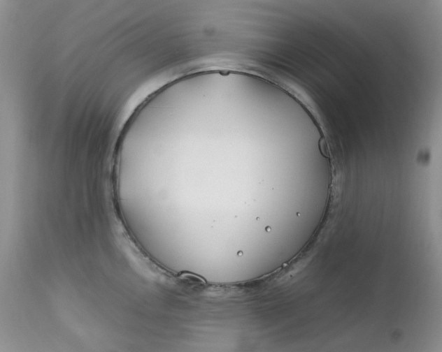 X0000112751146200909101534