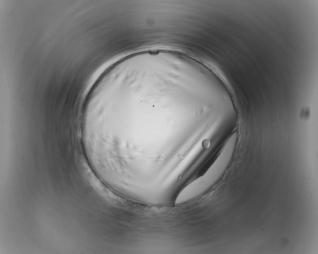 X0000112751148200909101534