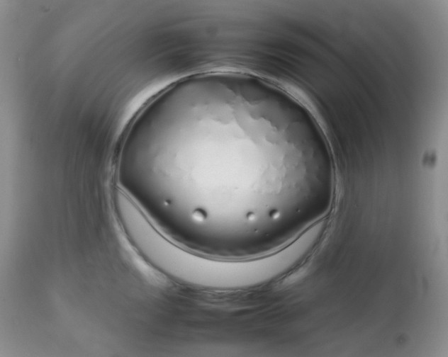 X0000112751149200909101534