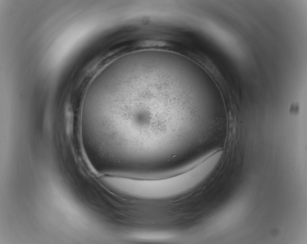 X0000112751151200909101534