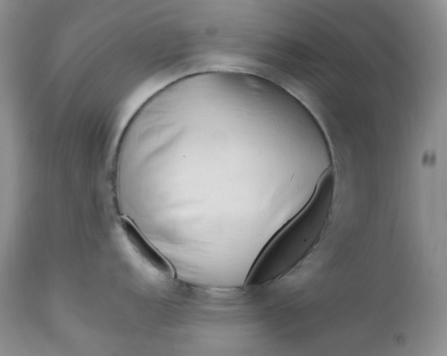 X0000112751152200909101534