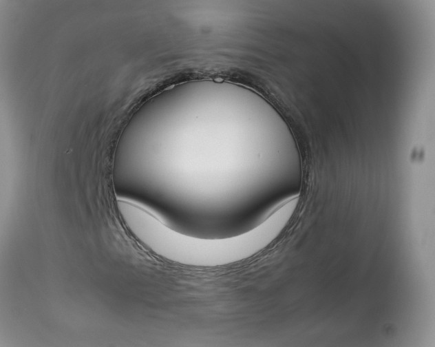 X0000112751153200909101533