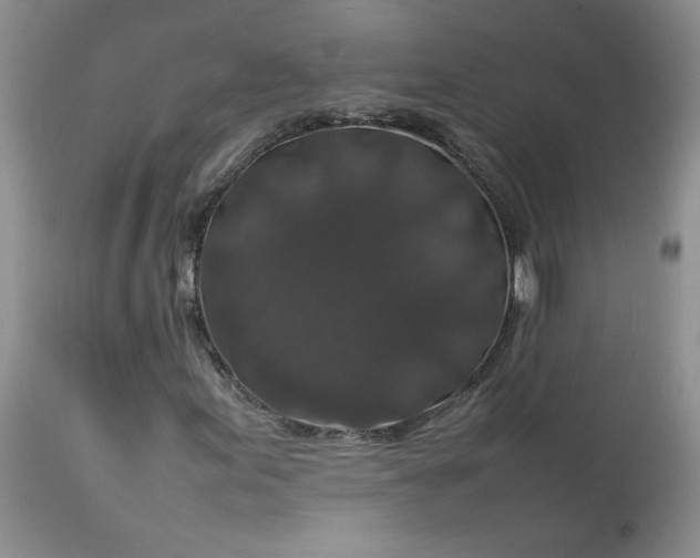 X0000112751155200909101533