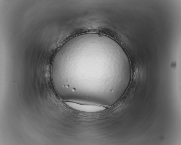 X0000112751156200909101533