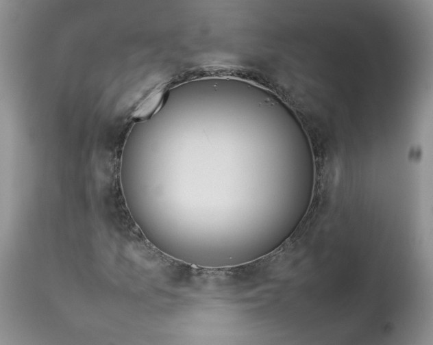 X0000112751157200909101533