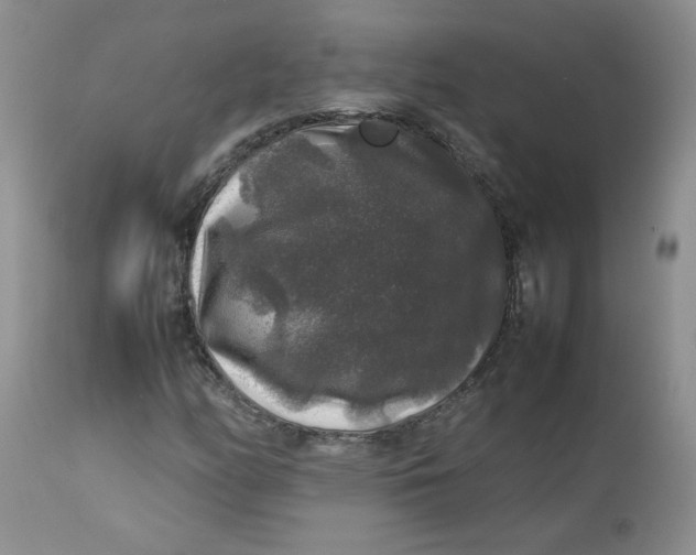 X0000112751158200909101533