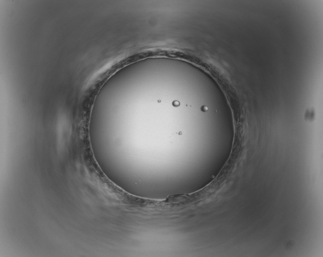 X0000112751159200909101533