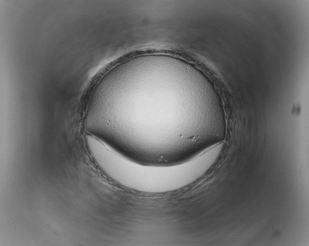 X0000112751160200909101533