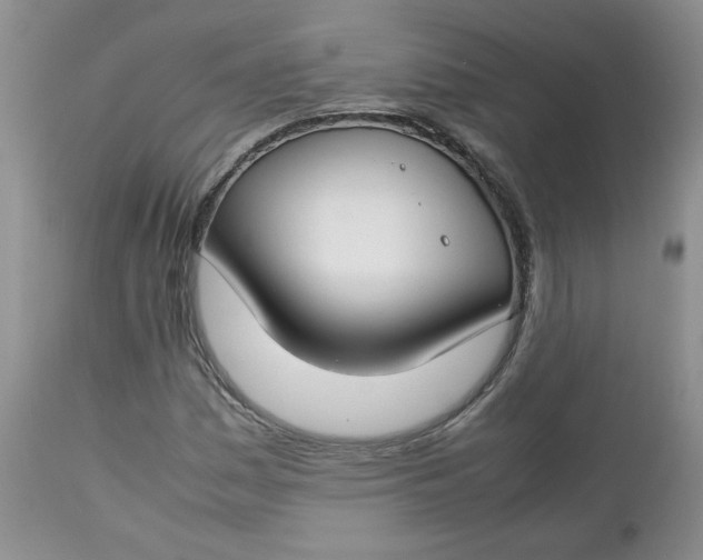 X0000112751161200909101533