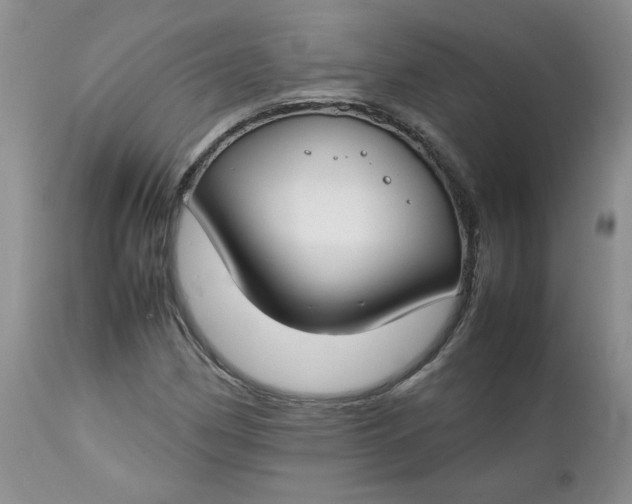 X0000112751162200909101533