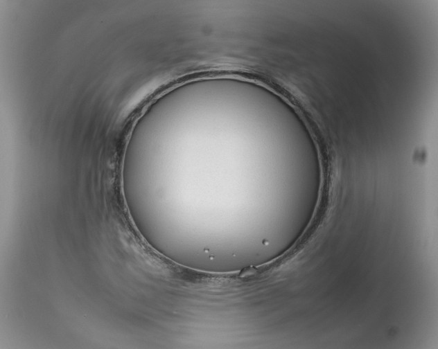 X0000112751163200909101533