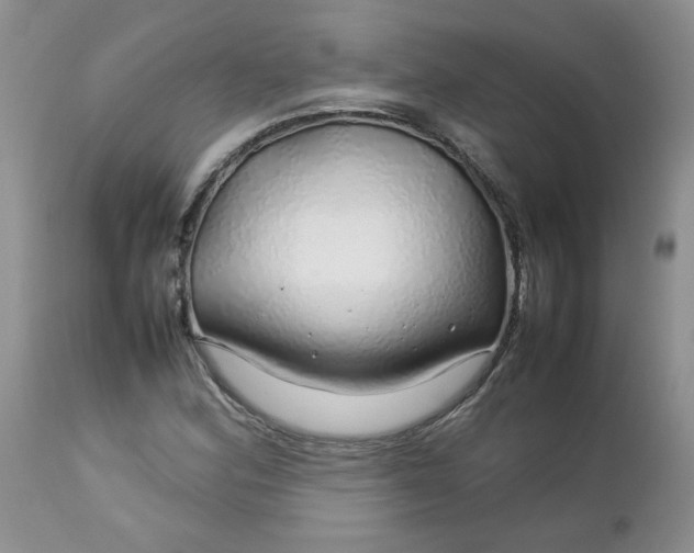 X0000112751164200909101533