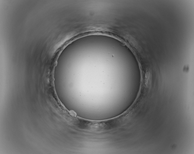 X0000112751165200909101533