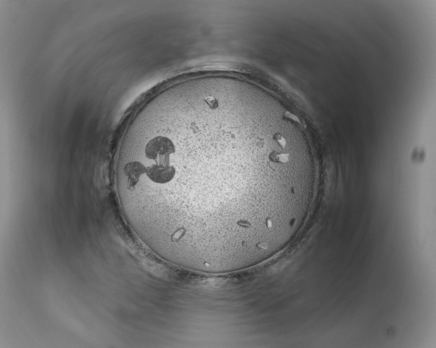 X0000112751166200909101533