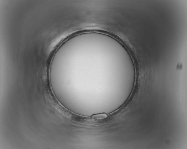 X0000112751167200909101533