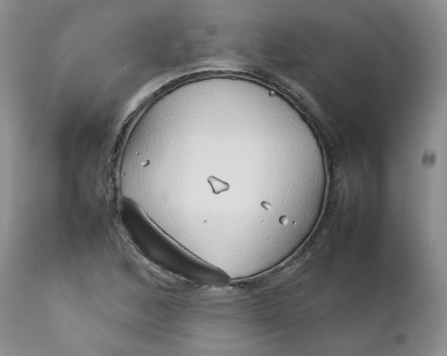 X0000112751168200909101533