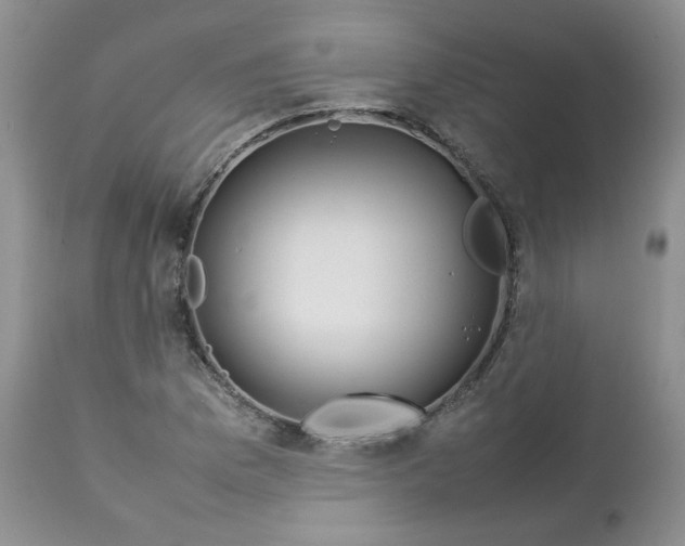 X0000112751169200909101533