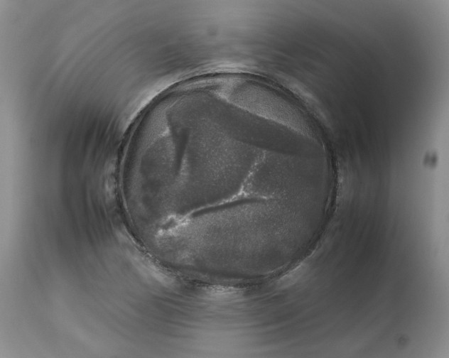 X0000112751170200909101533