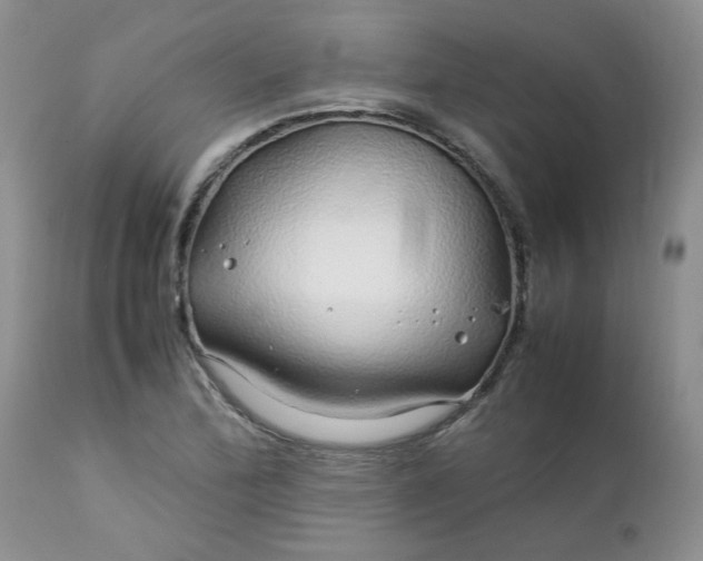 X0000112751172200909101533