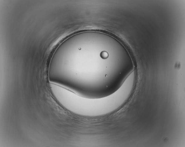 X0000112751173200909101533