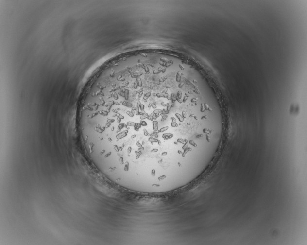 X0000112751174200909101533