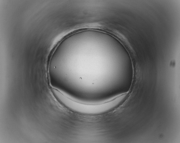 X0000112751176200909101533