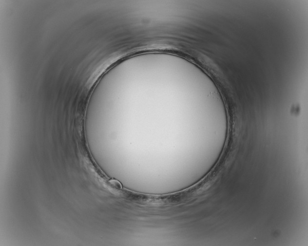 X0000112751177200909101533