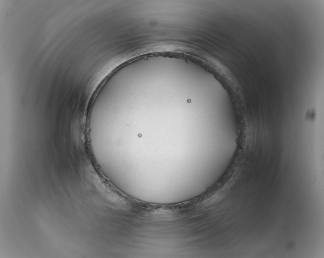 X0000112751178200909101533