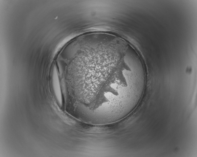 X0000112751179200909101533