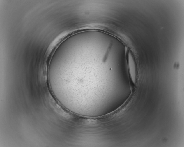 X0000112751180200909101533