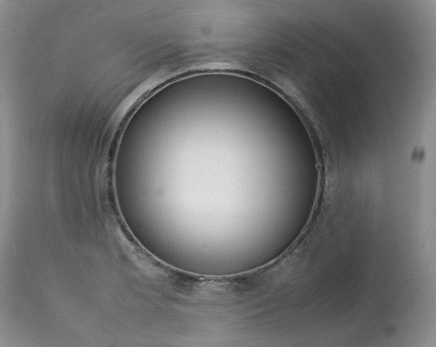 X0000112751181200909101533